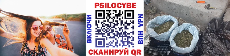Купить закладки  Югорск  Псилоцибиновые грибы Cubensis 